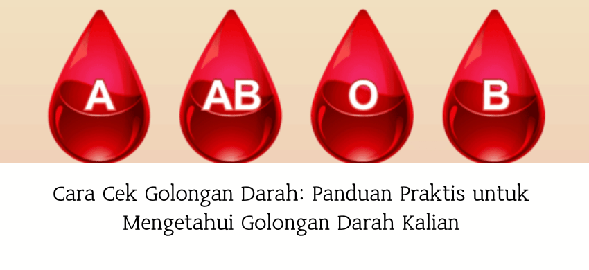 Cara Cek Golongan Darah Panduan Praktis untuk Mengetahui Golongan Darah Kalian